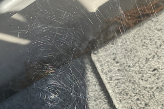 Photo of a spider web with reflected sunlight, on a deck.