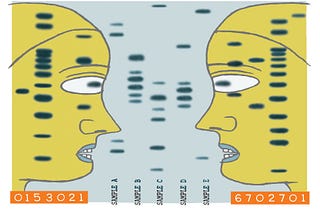 One Twin Committed the Crime — but Which One? A New DNA Test Can Finger the Culprit