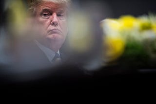 The Orange Elephant in the Room