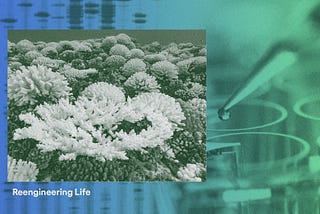 Filtered image of coral against a background of pipette and DNA.