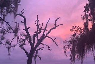 A leaf-less tree is situated by the edge of eerily still water. The sunset sky is brightly painted with color.