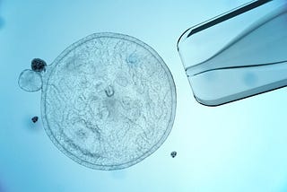 ‘Snake Oil’ Stem Cell Clinics Peddle False Hope for High Prices