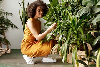 A young black woman in a plant store admiring a plant.
