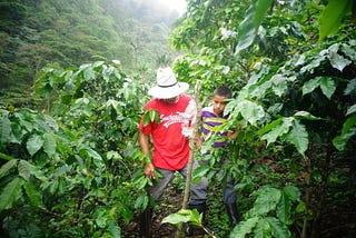 We Need to Change How We Grow Our Food