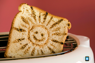 Toaster Programmer