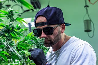 Stakes Is High: Matthew Morgan’s Legal Weed Gamble Pays Off