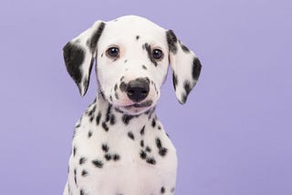 People Who Have Dogs Live Longer (Which Means More Time With Their Dogs)