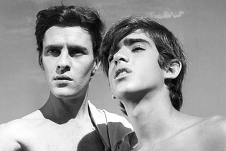 A Review of ‘The Boy and the Wind’ (O MENINO e o VENTO)