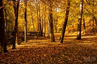 Autumn scene with fall leaves at Mingo Creek Park in Pennsylvania