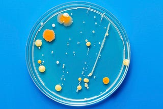 UTI Treatment Is in Crisis