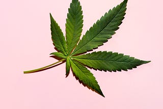 Why Exercisers Are Embracing Cannabis