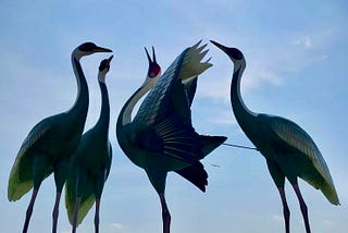 Four cranes reaching for the sky.