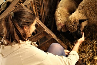 Photo of the author, a woman with brown hair, with an outstretched hand nuzzled by two sheep with black faces