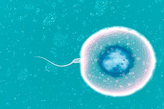 Men Need To Think More About Fertility — Even If They’re Not Considering Fatherhood