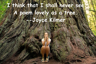 Woman sits at the bottom of an enormous tree, dwarfed by its size. Caption reads: I think that I shall never see | A poem lovely as a tree, from the poem “Trees” by Joyce Kilmer