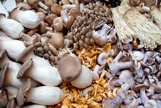 Are Mushrooms Really a Miracle Food?
