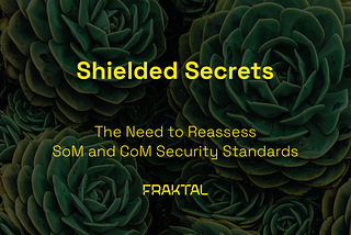 Shielded Secrets: The Need to Reassess SoM and CoM Security Standards