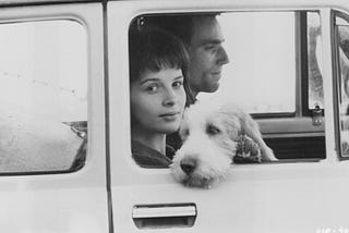 What ‘The Unbearable Lightness of Being’ Tells Us About Humans and Other Animals
