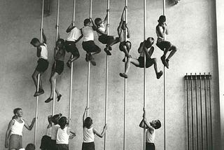 Children climbing ropes