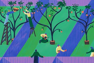 Colorful illustration of people harvesting from orchard yards.