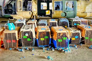 Photo of several service dogs left behind in crates in Afghanistan. A military helicopter in the background.