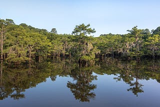 I Am the Light Raining in the Bayou