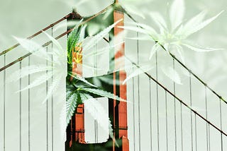 Double exposure of part of the Golden Gate Bridge and cannabis leaves.