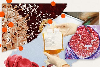 A Promising Coronavirus Treatment Has a Dark History