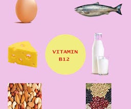 Sources of vitamin B12| Food rich in vitamin B12