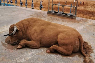 These Sand Sculptures of Animals Are Amazingly Realistic