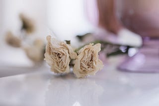 Love is a rose | two dried roses, pink candles, reflections | © pockett dessert