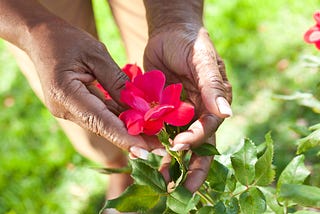 My Garden Is My Healing Space