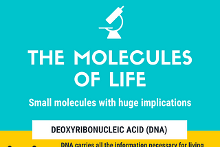 A brief overview of biomolecules.