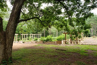 Inside Atlanta’s First Food Forest