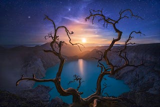 A fine art photograph of bare tree branches framing a moon and lake setting with purple clouds and stars