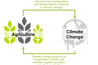 Climate Change Is Affecting The Food We Eat