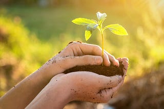A hand holding a seedling and soil.