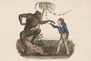 The Person in the Ape