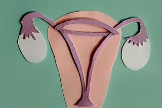 A collage of the female reproductive system.