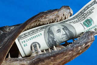 A close up of a fish with a one hundred dollar bill in its teeth