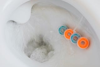 Why I Flushed My Chicken’s Eggs Down The Toilet