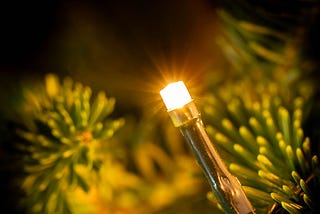 A Christmas light illuminates the tree, and the world around it.