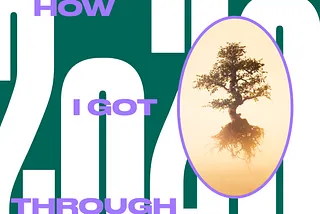 I Got, Like, Super Into Trees This Year