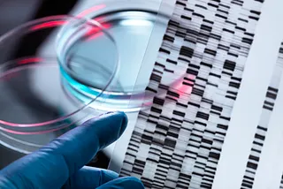 A close up of a gloved hand holding up a DNA autoradiogram next to a petri dish to illustrate genetic research.