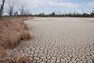 The Brazen Theft of Water from the Murray-Darling is Outrageous