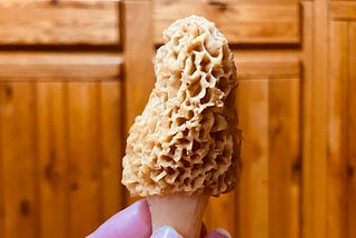 Hiking and Foraging for Wild Asparagus and Mushrooms in Idaho