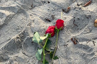 Found Roses on the Beach by Mark Tulin