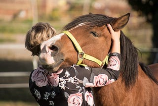 a horse being hugged by a woman