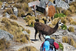 Packing for a Mountaineering Expedition