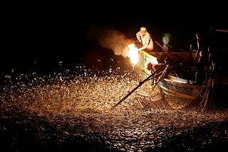 Fishing with fire in Taiwan